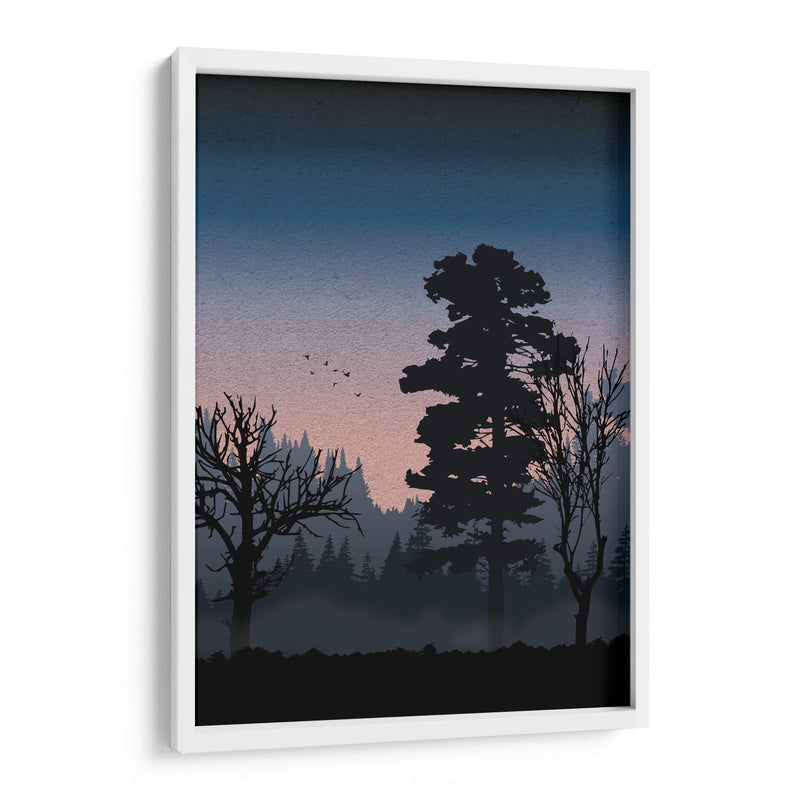 Forest at night - Grau Project | Cuadro decorativo de Canvas Lab
