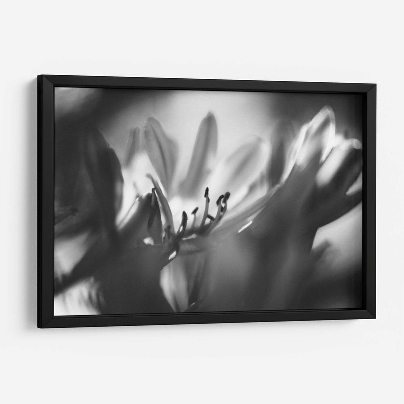 Niebla - Juliana Estrada | Cuadro decorativo de Canvas Lab