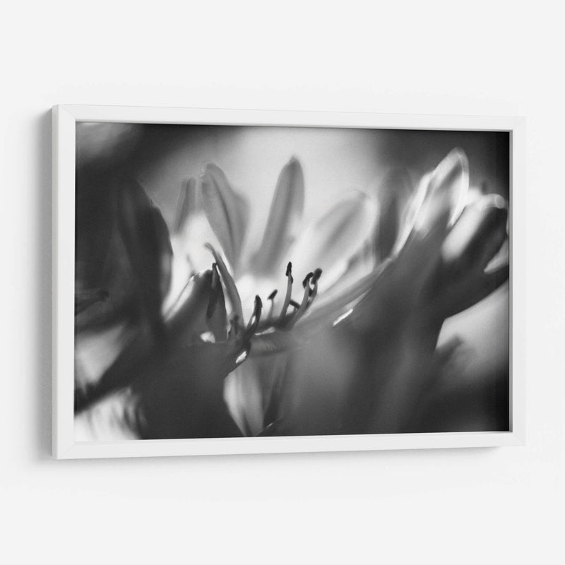 Niebla - Juliana Estrada | Cuadro decorativo de Canvas Lab