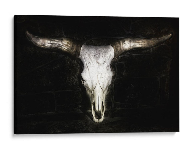 Cráneo De Vaca - PH Burchett | Cuadro decorativo de Canvas Lab