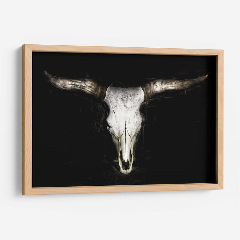 Cráneo De Vaca - PH Burchett | Cuadro decorativo de Canvas Lab