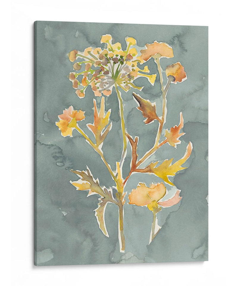 Florales Recogidos I - Chariklia Zarris | Cuadro decorativo de Canvas Lab