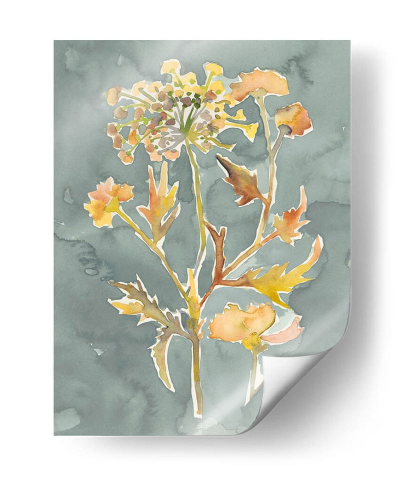 Florales Recogidos I - Chariklia Zarris | Cuadro decorativo de Canvas Lab