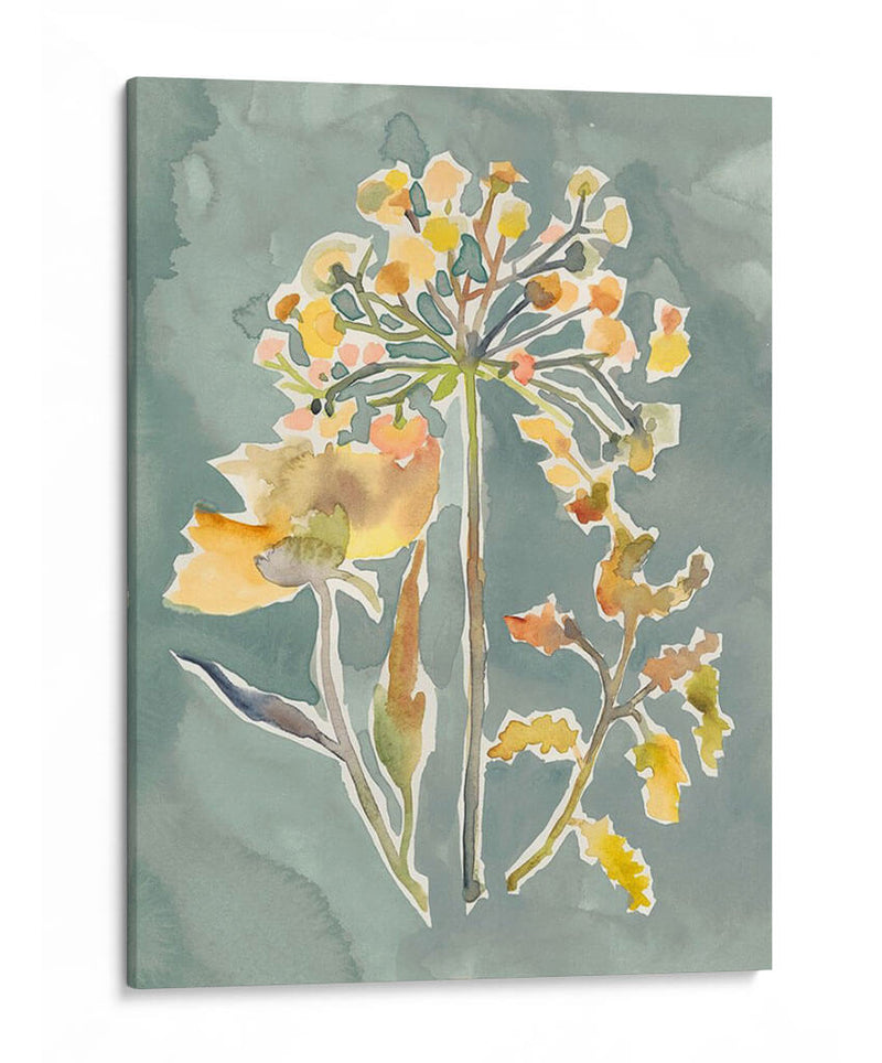 Florales Recolectados Ii - Chariklia Zarris | Cuadro decorativo de Canvas Lab