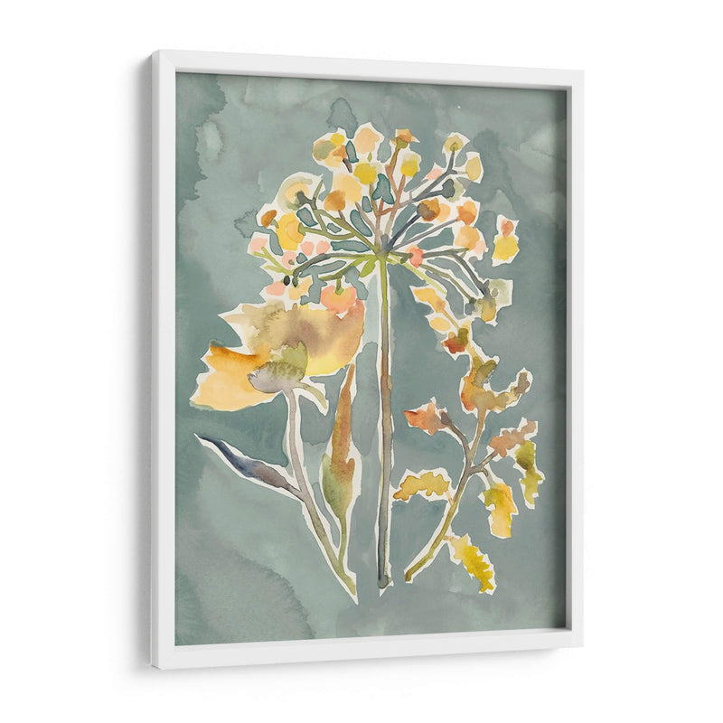 Florales Recolectados Ii - Chariklia Zarris | Cuadro decorativo de Canvas Lab