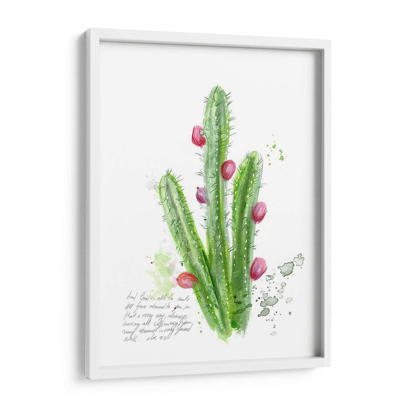 Cactus Verso Ii - Ingrid Blixt | Cuadro decorativo de Canvas Lab
