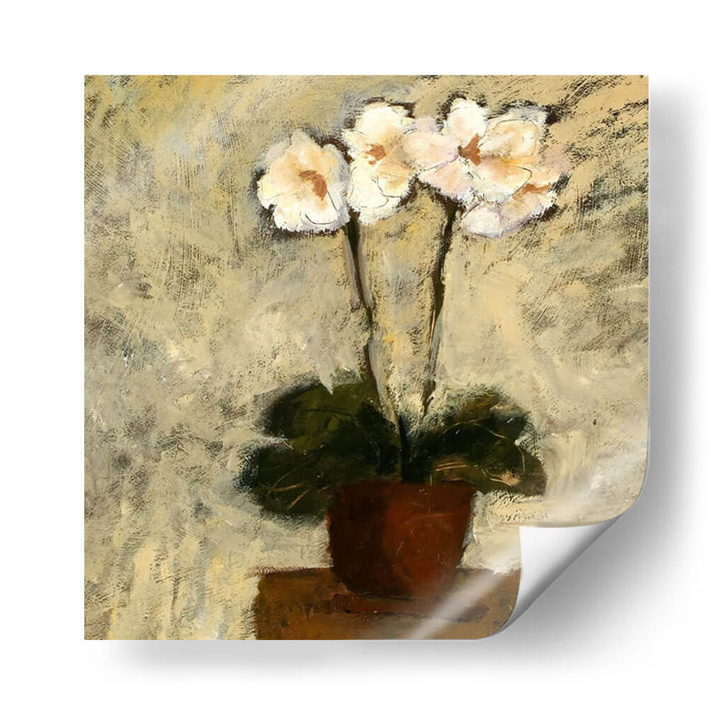 Texturas De Orquídeas I - Judi Bagnato | Cuadro decorativo de Canvas Lab
