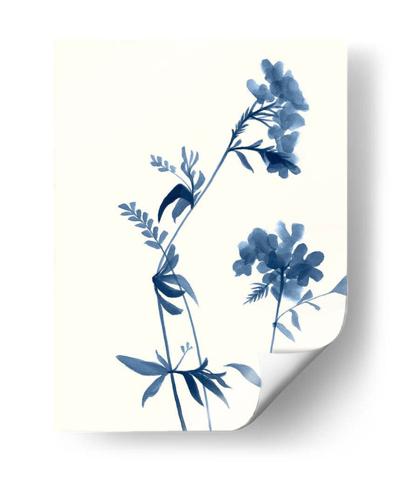 Indigo Wildflowers Ii - Jennifer Goldberger | Cuadro decorativo de Canvas Lab