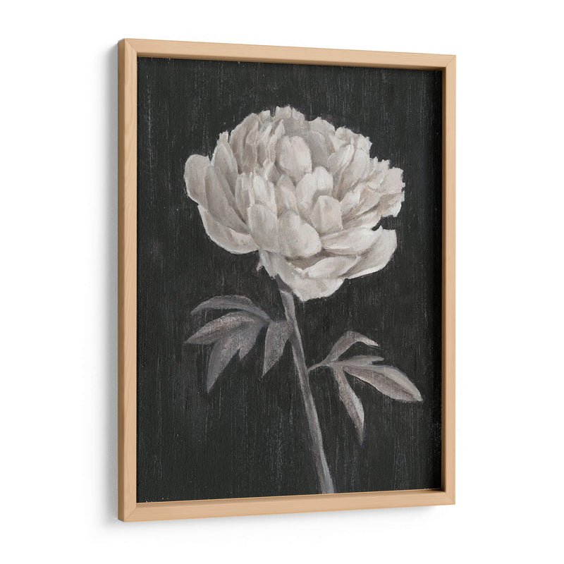 Flores En Blanco Y Negro I - Ethan Harper | Cuadro decorativo de Canvas Lab
