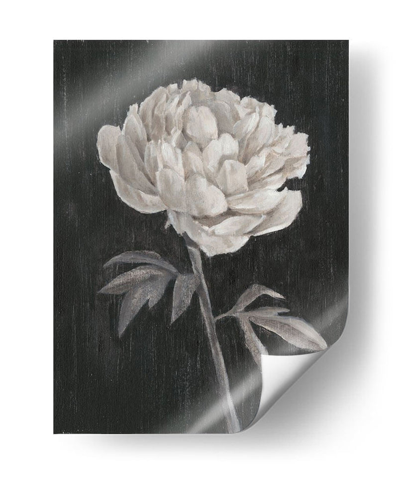 Flores En Blanco Y Negro I - Ethan Harper | Cuadro decorativo de Canvas Lab