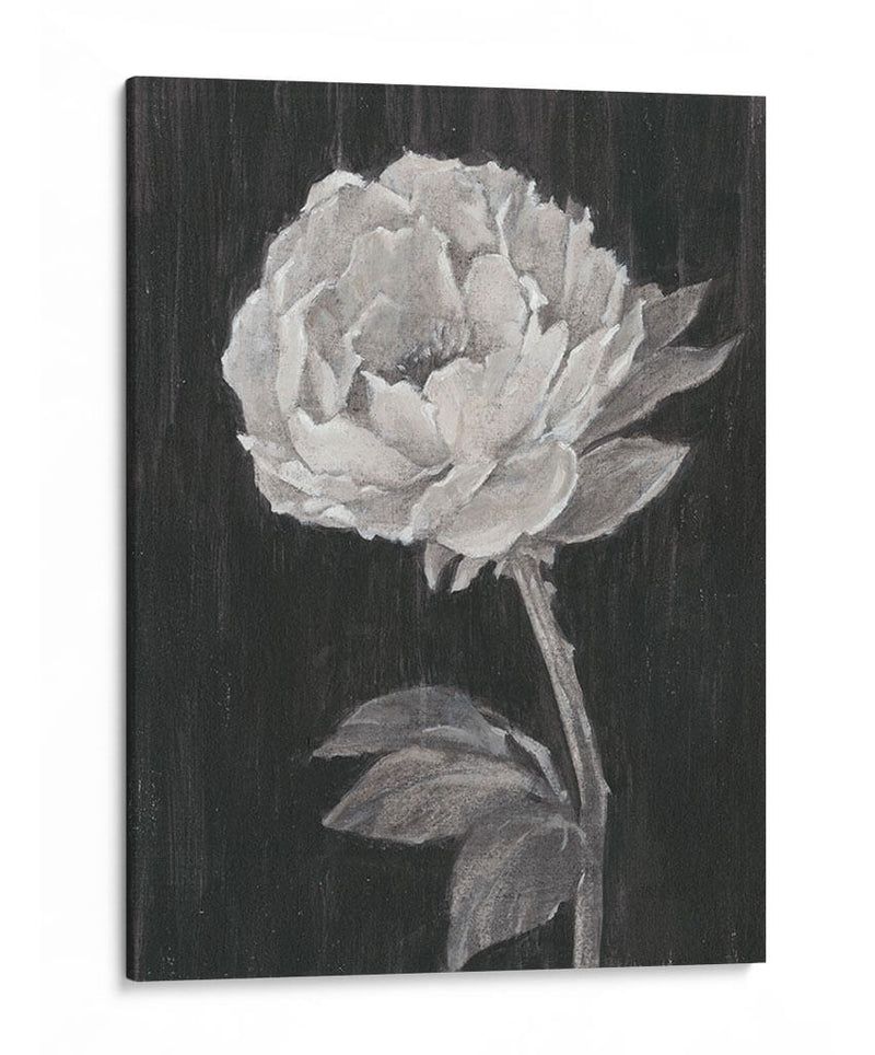 Flores En Blanco Y Negro Ii - Ethan Harper | Cuadro decorativo de Canvas Lab