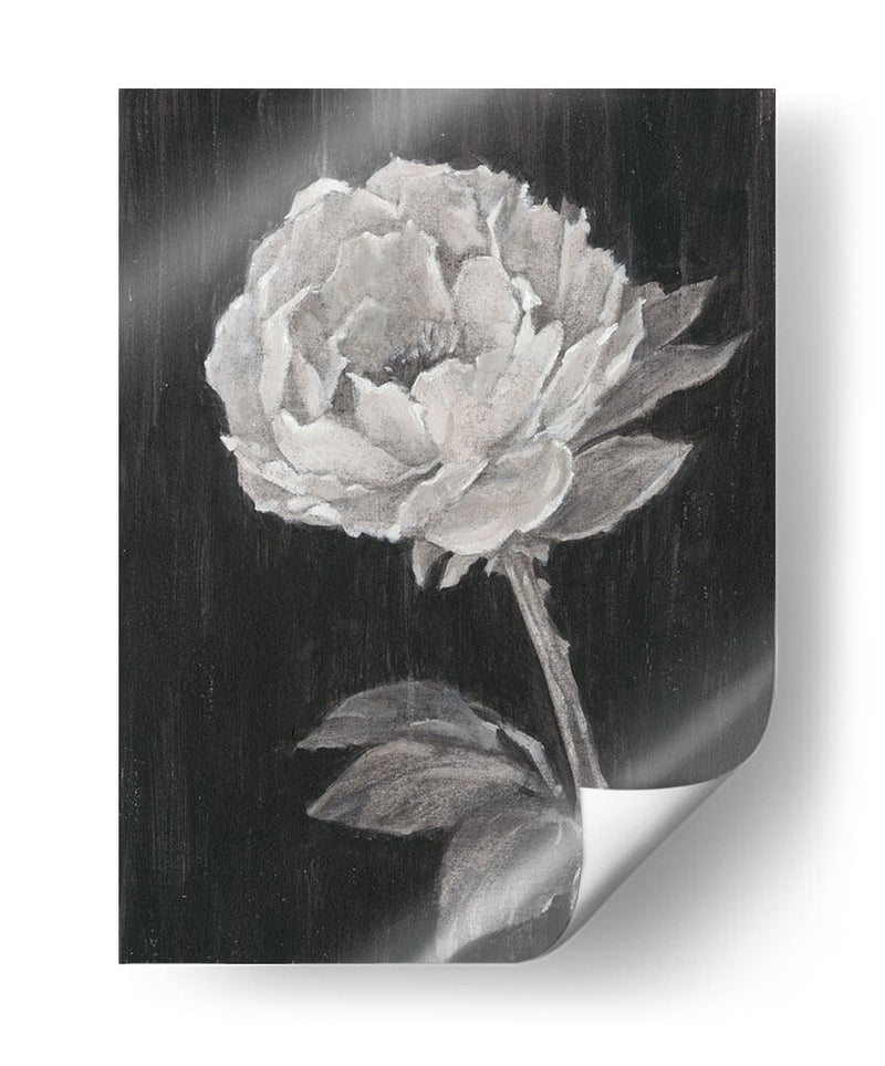 Flores En Blanco Y Negro Ii - Ethan Harper | Cuadro decorativo de Canvas Lab