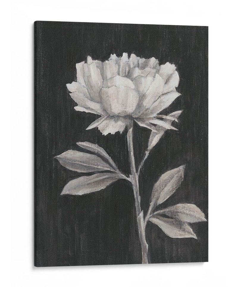 Flores En Blanco Y Negro Iii - Ethan Harper | Cuadro decorativo de Canvas Lab