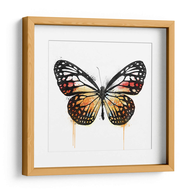 Mariposa Naranja - Hue Art | Cuadro decorativo de Canvas Lab