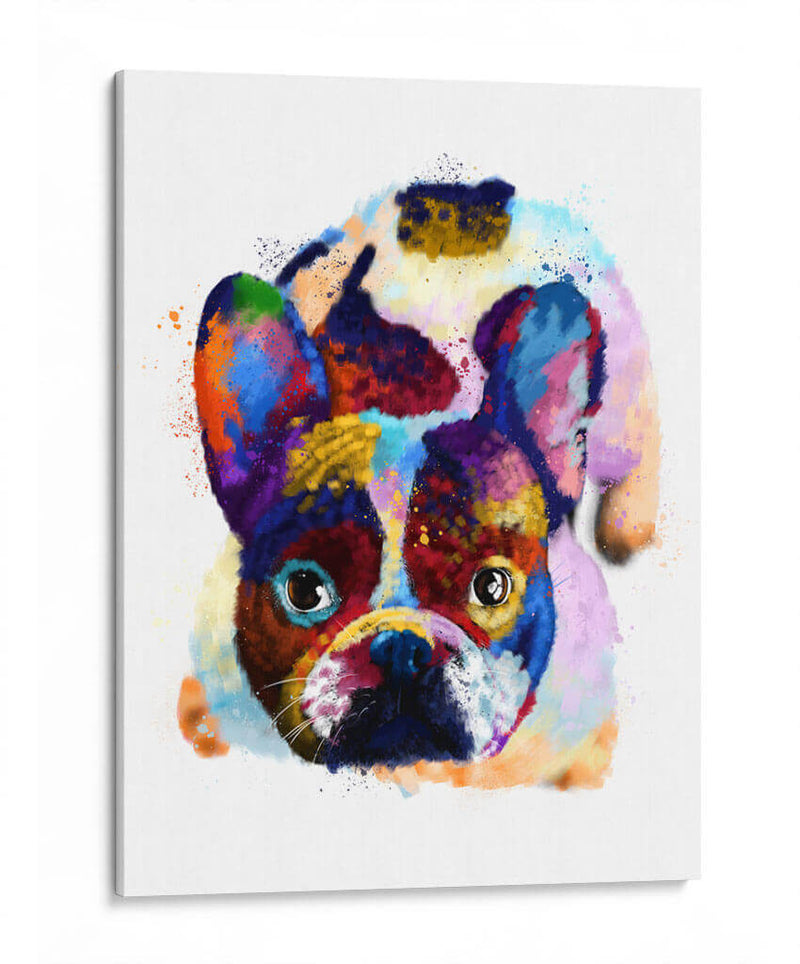 French Bulldog Colorido - Hue Art | Cuadro decorativo de Canvas Lab