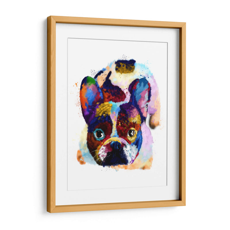 French Bulldog Colorido - Hue Art | Cuadro decorativo de Canvas Lab