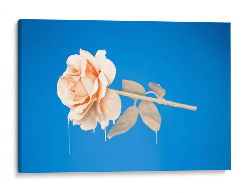 Rosa con pintura | Cuadro decorativo de Canvas Lab