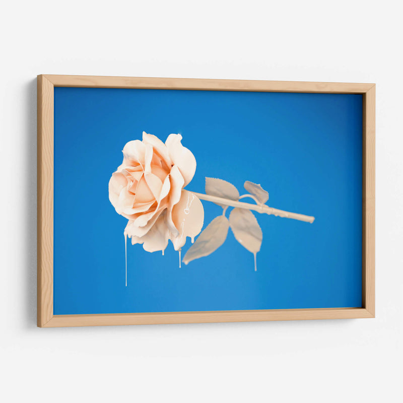 Rosa con pintura | Cuadro decorativo de Canvas Lab