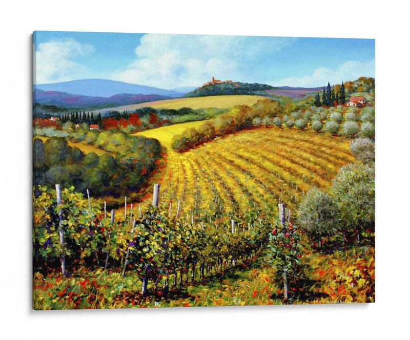 Chianti Vineyards - Michael Swanson | Cuadro decorativo de Canvas Lab