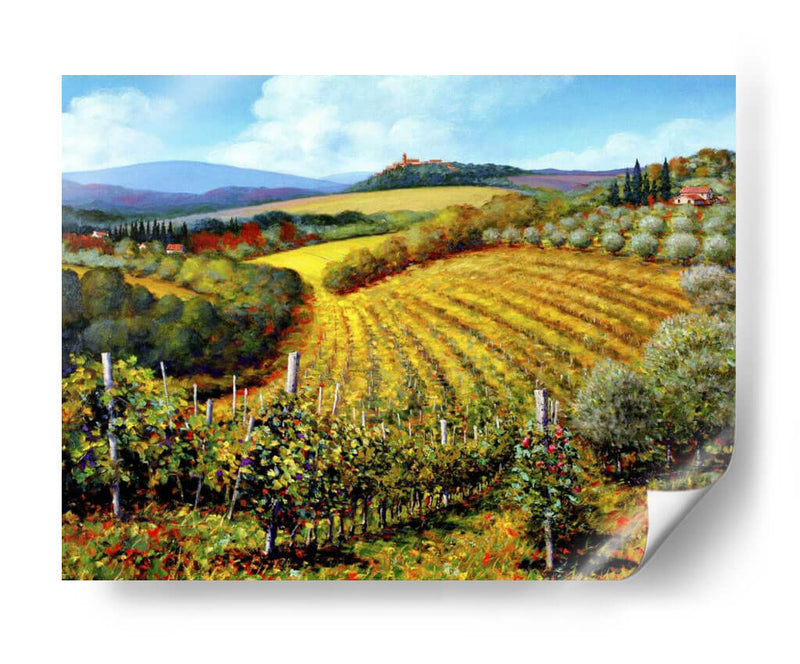 Chianti Vineyards - Michael Swanson | Cuadro decorativo de Canvas Lab