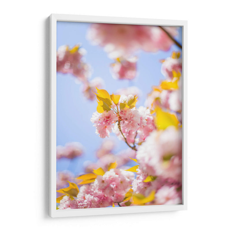 Sakura | Cuadro decorativo de Canvas Lab