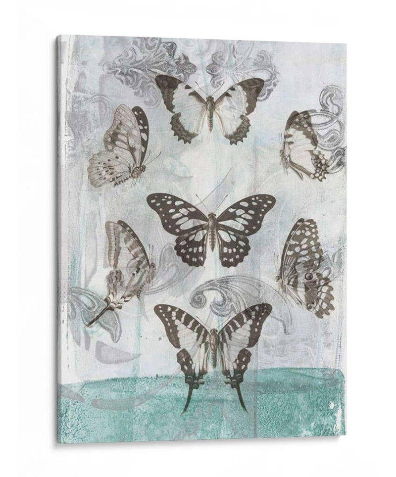 Mariposas Y Filigrana I - Jennifer Goldberger | Cuadro decorativo de Canvas Lab
