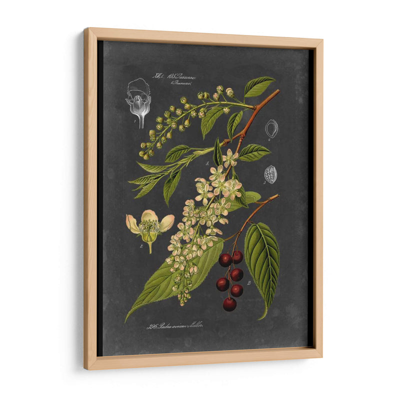 Midnight Botanical Ii - Vision Studio | Cuadro decorativo de Canvas Lab