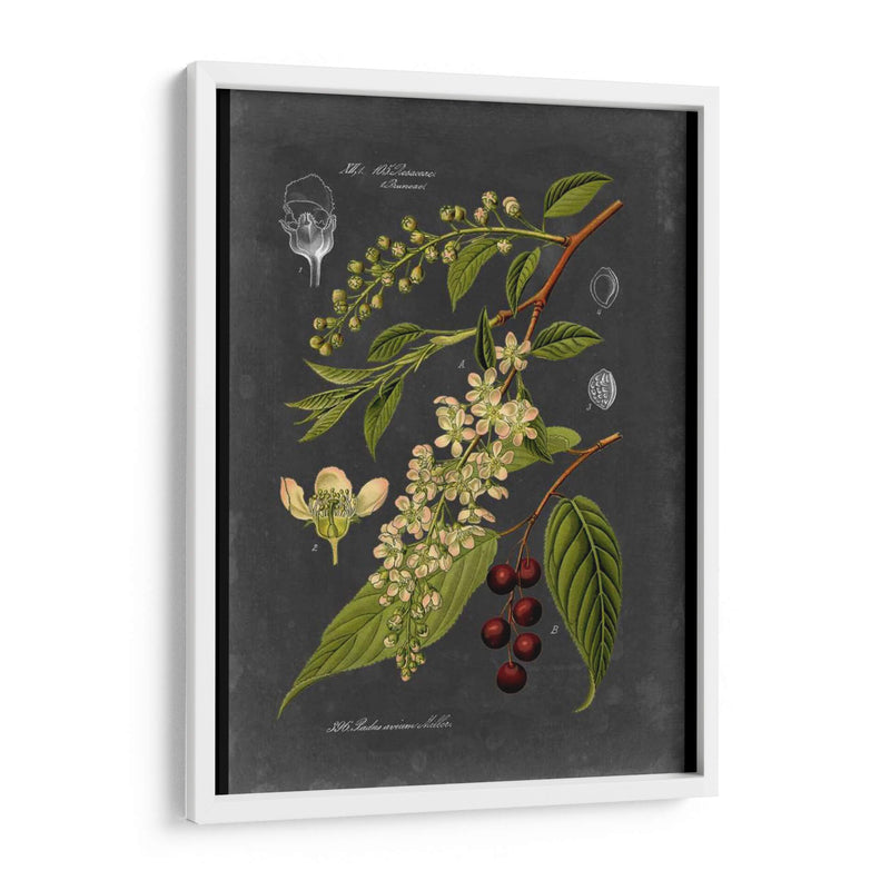 Midnight Botanical Ii - Vision Studio | Cuadro decorativo de Canvas Lab