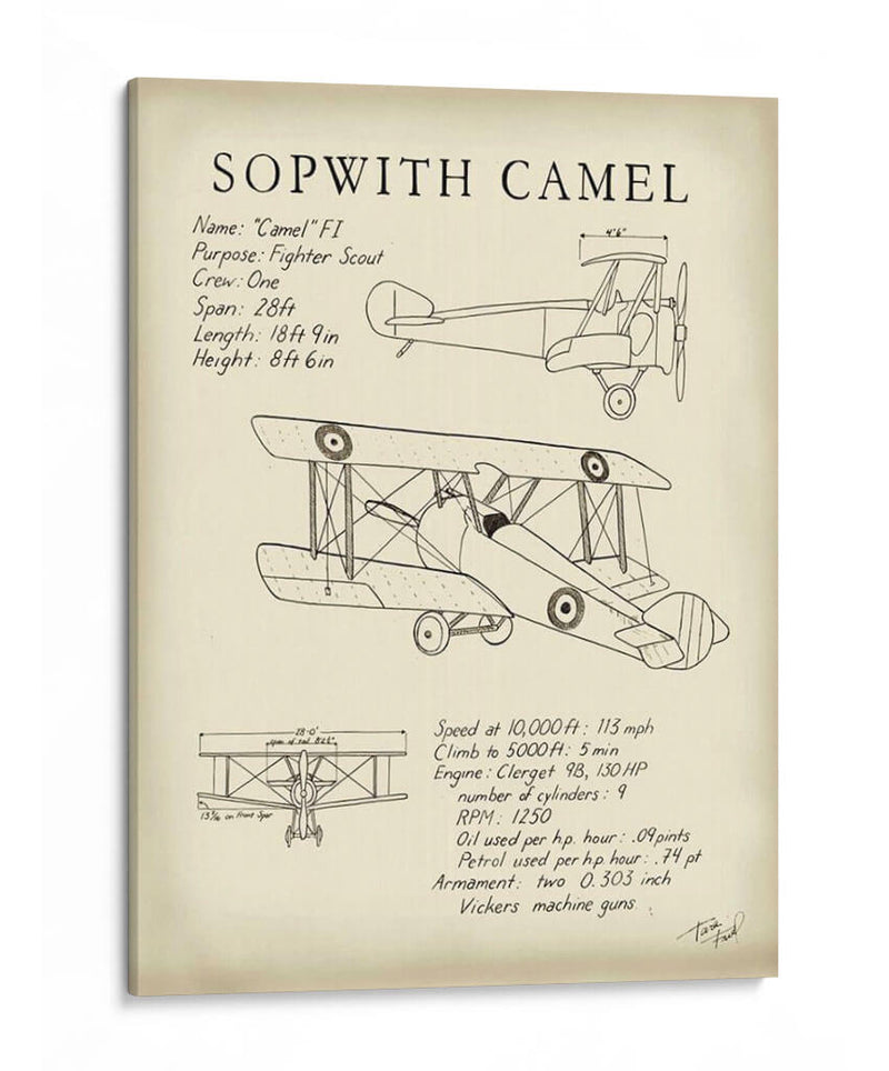 Camello Sopwith - Tara Friel | Cuadro decorativo de Canvas Lab