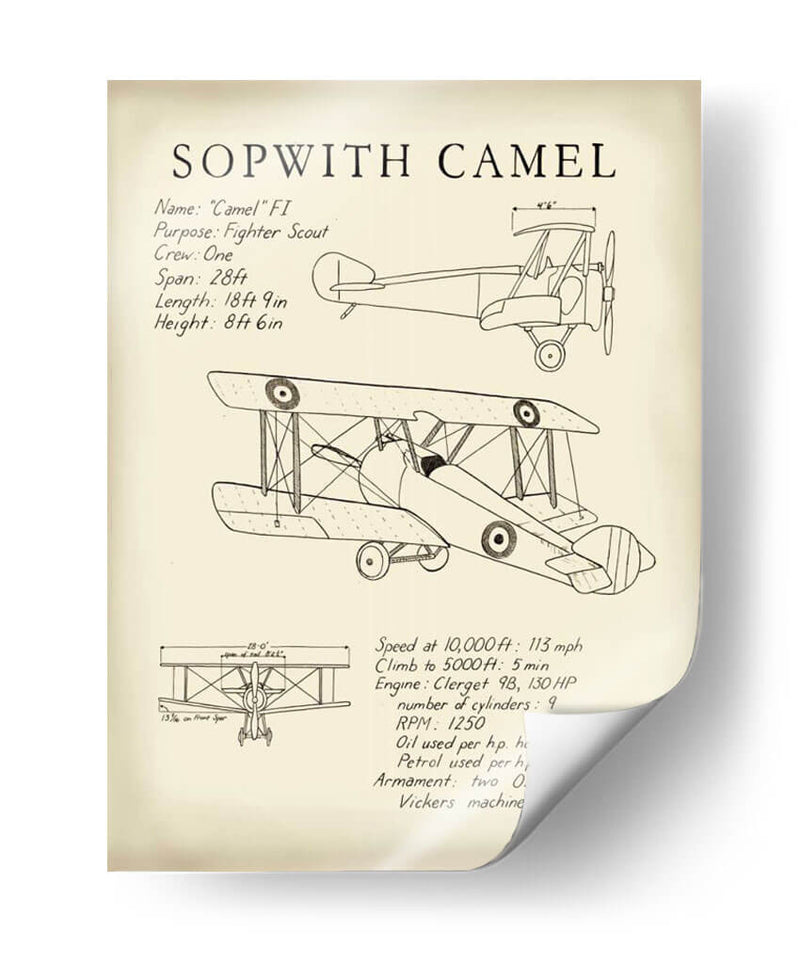 Camello Sopwith - Tara Friel | Cuadro decorativo de Canvas Lab