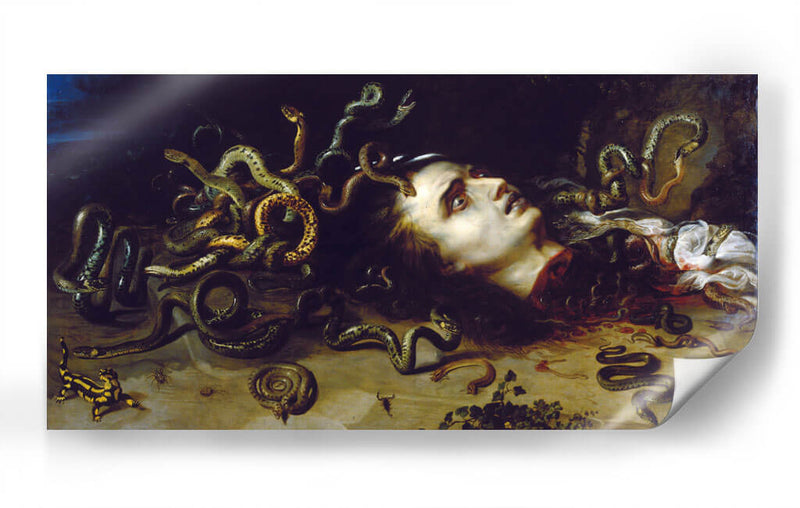 Cabeza de Medusa - Peter Paul Rubens | Cuadro decorativo de Canvas Lab