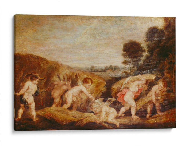 Cupidos cosechando - Peter Paul Rubens | Cuadro decorativo de Canvas Lab