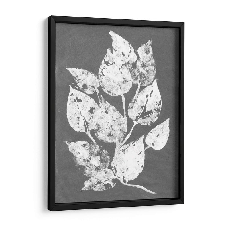 Frosty Philodendron I - Alicia Ludwig | Cuadro decorativo de Canvas Lab