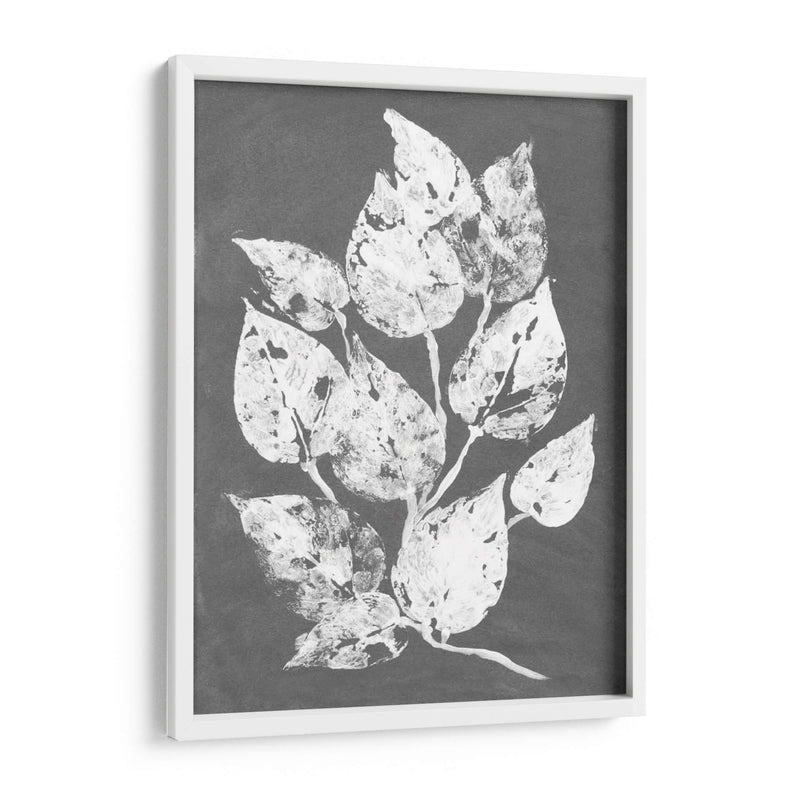 Frosty Philodendron I - Alicia Ludwig | Cuadro decorativo de Canvas Lab