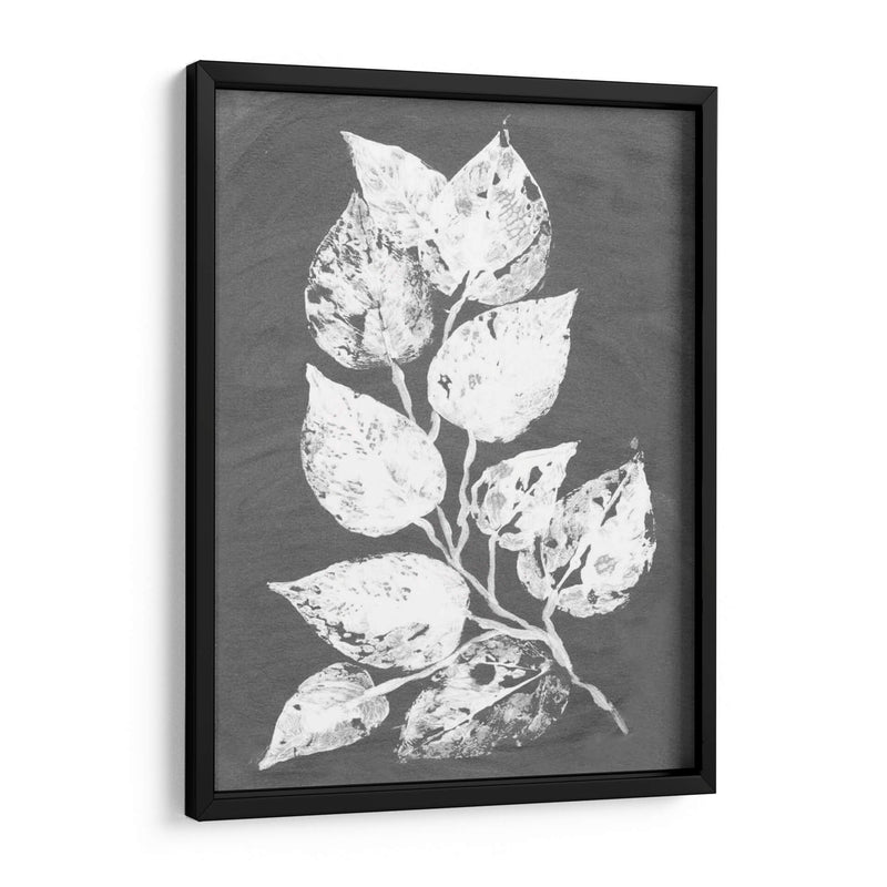 Frosty Philodendron Ii - Alicia Ludwig | Cuadro decorativo de Canvas Lab