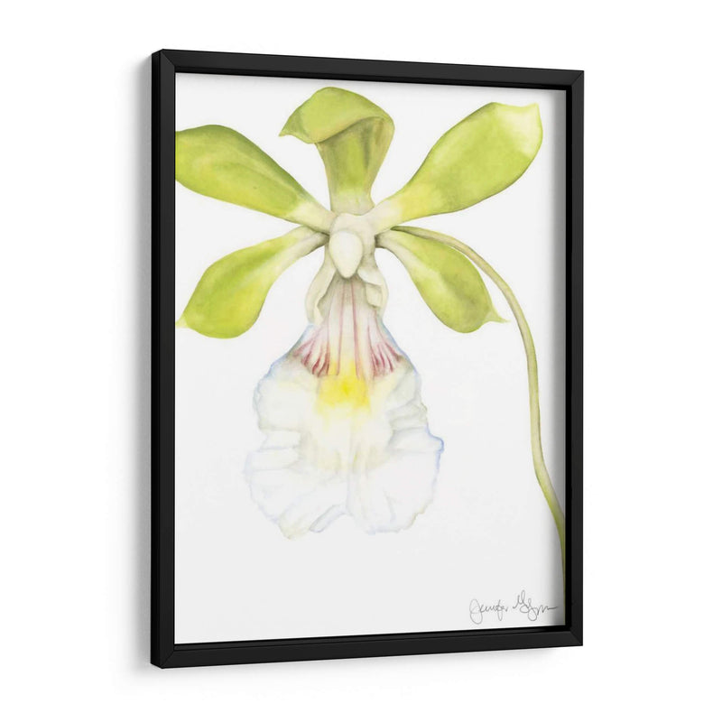 Belleza De La Orquídea Pequeña I - Jennifer Goldberger | Cuadro decorativo de Canvas Lab