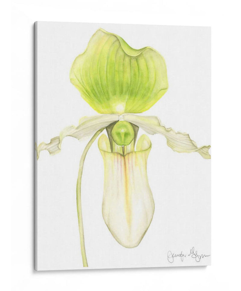 Pequeña Belleza De La Orquídea Iv - Jennifer Goldberger | Cuadro decorativo de Canvas Lab