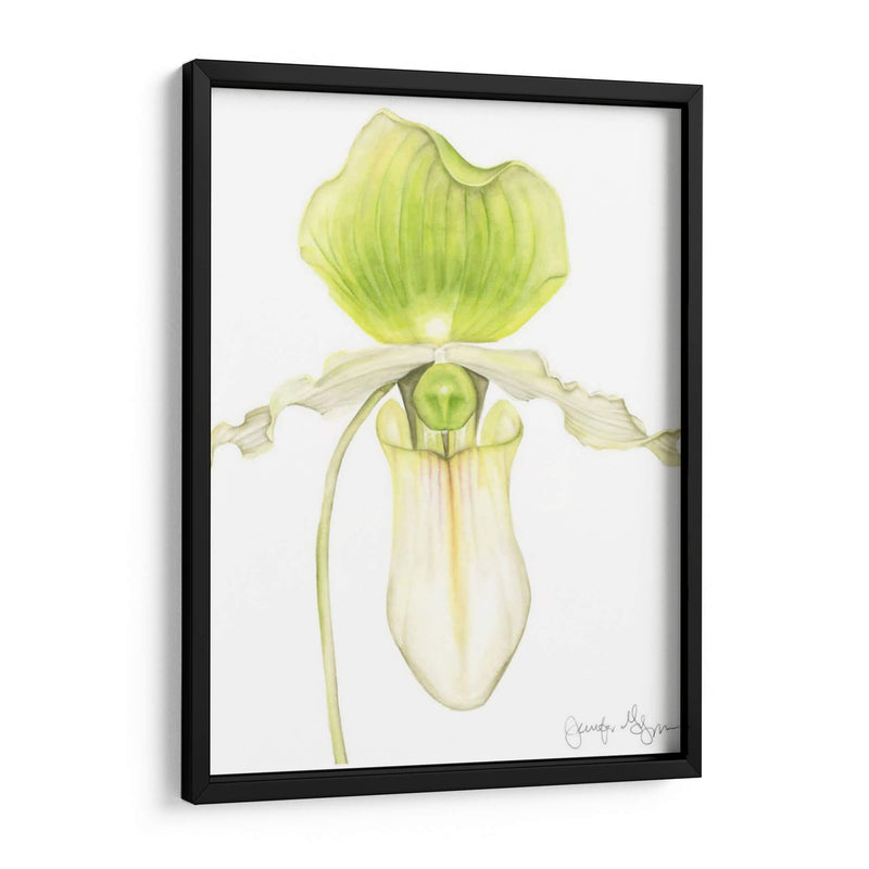 Pequeña Belleza De La Orquídea Iv - Jennifer Goldberger | Cuadro decorativo de Canvas Lab