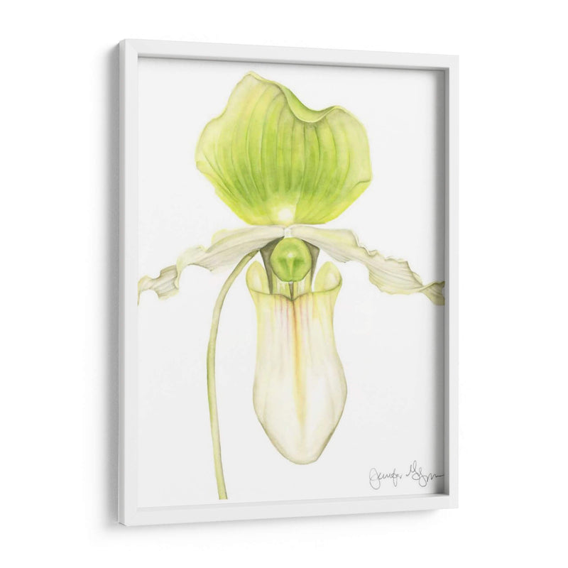 Pequeña Belleza De La Orquídea Iv - Jennifer Goldberger | Cuadro decorativo de Canvas Lab