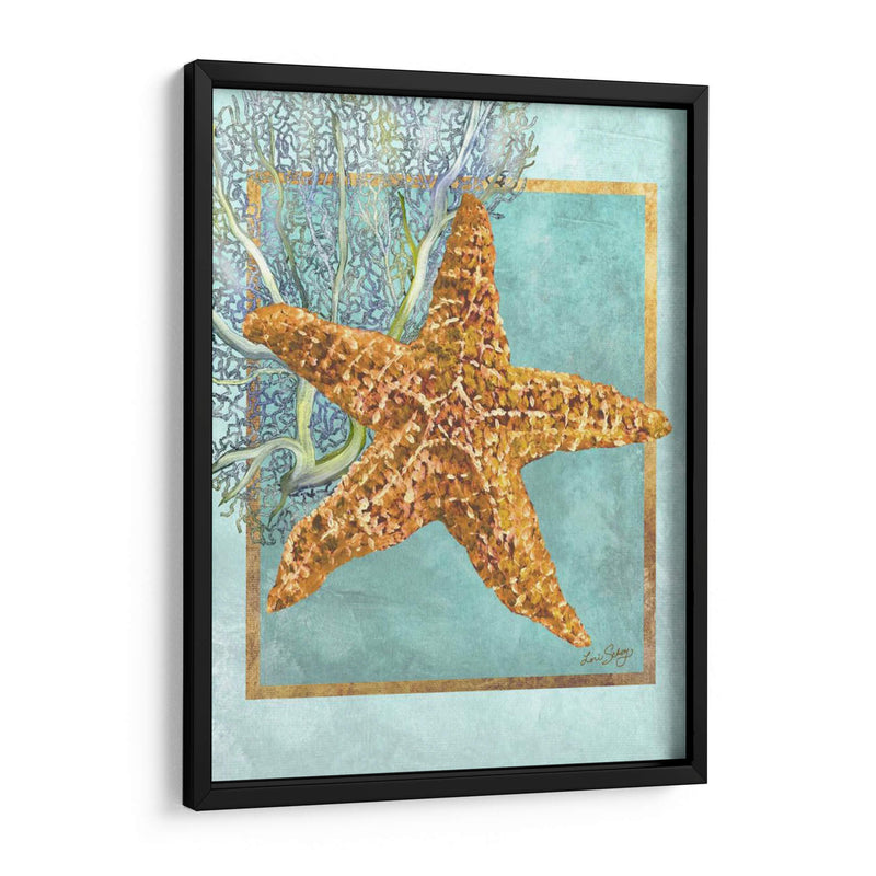 Estrella De Mar Y Coral - Lori Schory | Cuadro decorativo de Canvas Lab