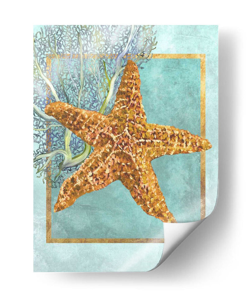 Estrella De Mar Y Coral - Lori Schory | Cuadro decorativo de Canvas Lab