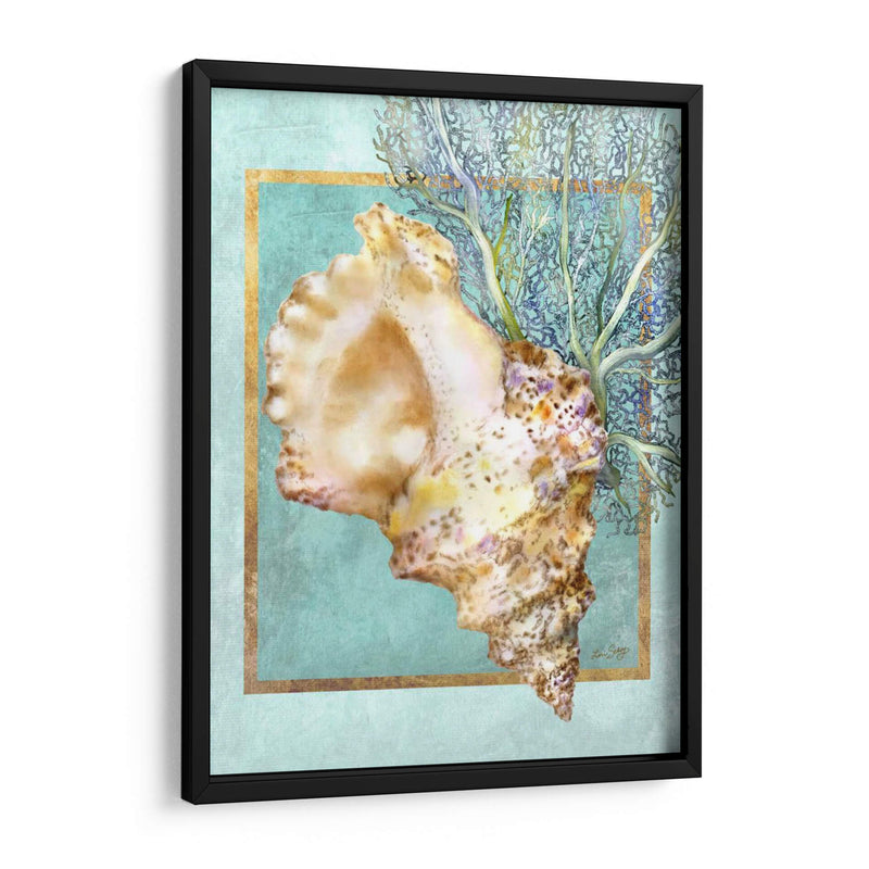 Concha Shell Y Coral - Lori Schory | Cuadro decorativo de Canvas Lab