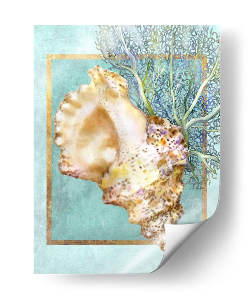Concha Shell Y Coral - Lori Schory | Cuadro decorativo de Canvas Lab