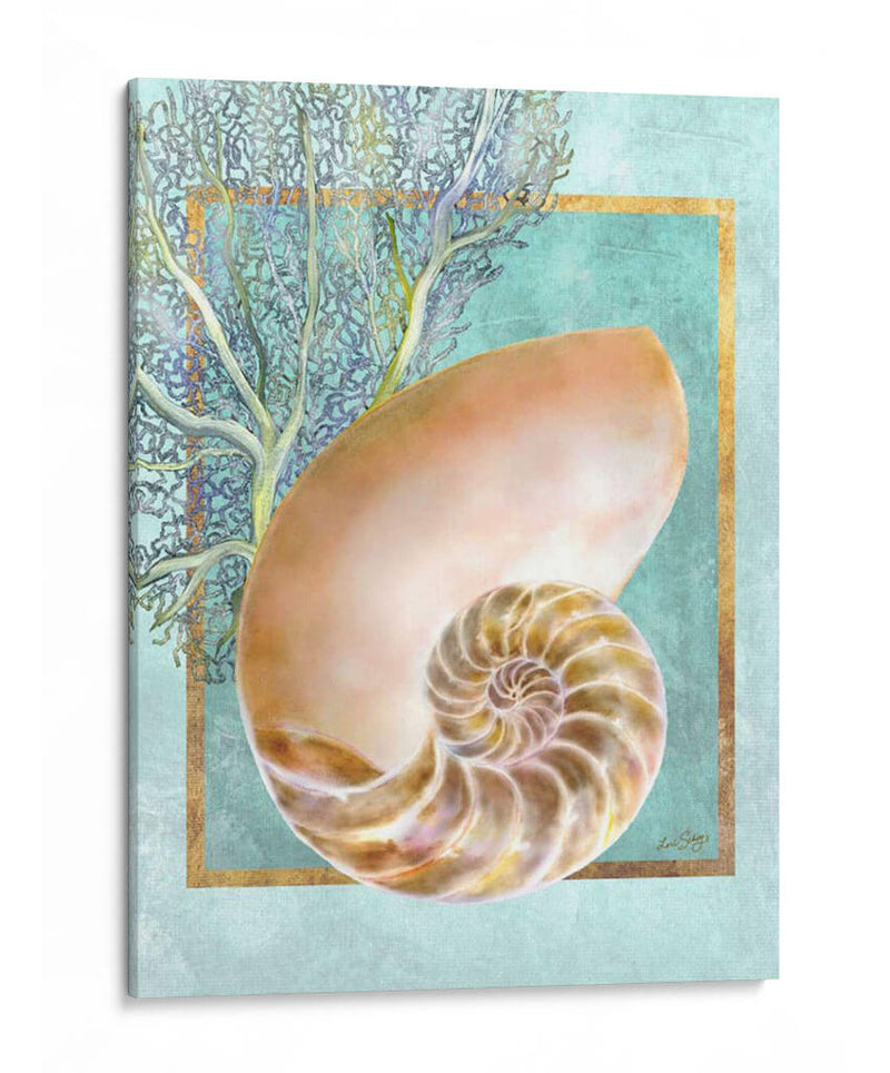 Nautilus Shell Y Coral - Lori Schory | Cuadro decorativo de Canvas Lab