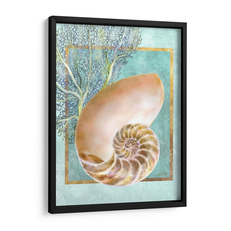 Nautilus Shell Y Coral - Lori Schory | Cuadro decorativo de Canvas Lab