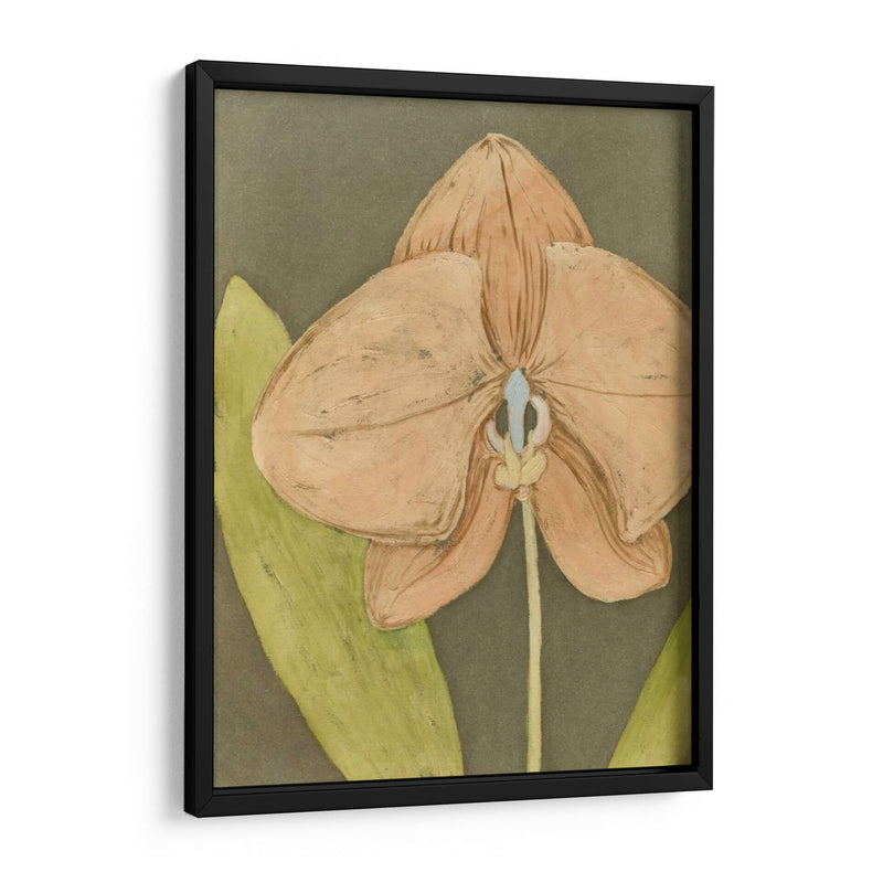 Orquídea Y Tierra Iv - Megan Meagher | Cuadro decorativo de Canvas Lab