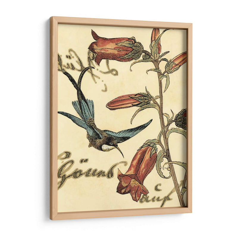 Hummingbird Pequeño Reverie I - Vision Studio | Cuadro decorativo de Canvas Lab