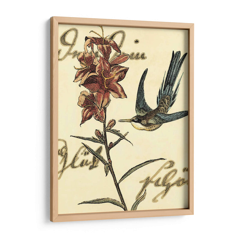 Small Hummingbird Reverie Iv - Vision Studio | Cuadro decorativo de Canvas Lab