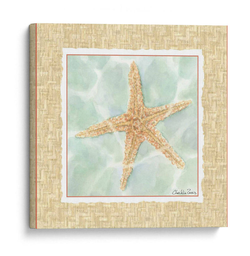Ocean Starfish - Chariklia Zarris | Cuadro decorativo de Canvas Lab