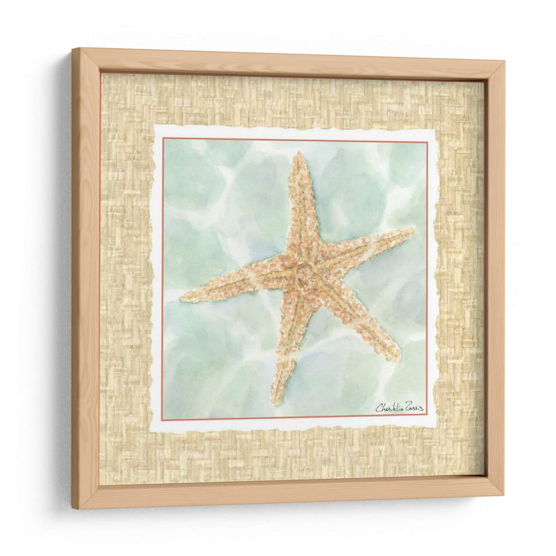 Ocean Starfish - Chariklia Zarris | Cuadro decorativo de Canvas Lab